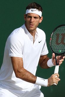 Juan Martin del Potro